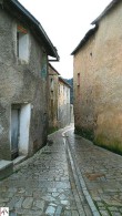 Orroli