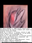 La libera espressione della Coscienza