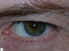 foto di Arditoeufemismo