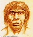 Neanderthal 1. Un volto dal passato