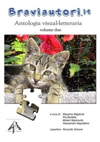 Antologia visual-letteraria (Volume due)